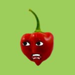 Interview With Pepper: “Beg Yoruba People To Free Me”