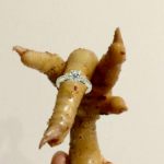 The Engaged Nigerian’s Guide To Tensioning Their Single Friends