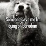 Here’s What You Can Do  On Your Phone When There’s No Data