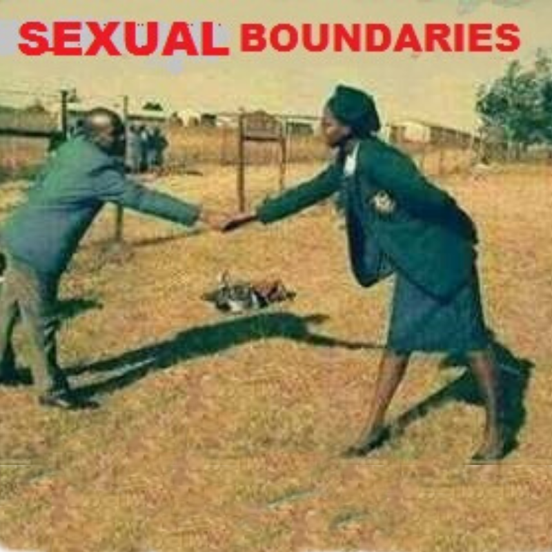 The Dangers of Fornication According To This Insane Book I Found