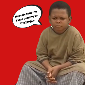 12 Things Every Fresher Knows To Be True