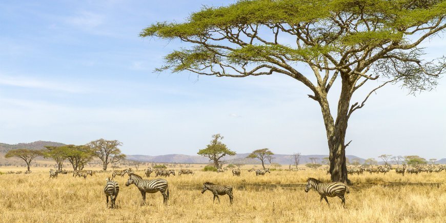 Where is Serengeti National Park?