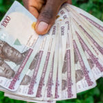 The Naira Is In A Toxic Relationship With The Dollar. What Should You Do?