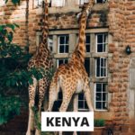 QUIZ: Which African Country Should You Relocate To?