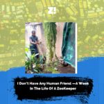 I Don’t Have Any Human Friend —A Week In The Life Of A Zookeeper