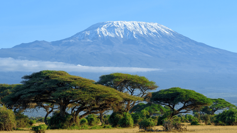 You're taking an afternoon stroll and you stumble across Mt. Kilimanjaro. Which country are you in?