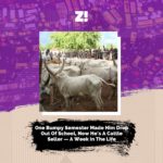 One Bumpy Semester Made Him Drop Out Of School, Now He’s A Cattle Seller — A Week In The Life