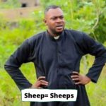 QUIZ: Do You Know The Plural Of These Words Or Did Your School Fees Waste?