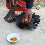 QUIZ: How Did You Die in Your First Life?