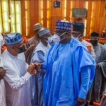 What Did National Assembly Get Right About Amending Constitution?