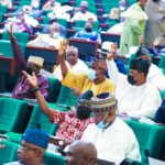 What National Assembly Got Wrong About Amending Constitution