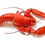 Quiz: Which Seafood Are You?