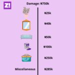 “Basic Furnishing Cost Me ₦2m” — How Much Are Nigerians Spending on Their Homes?