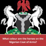 QUIZ: This Nigerian Government Quiz Is So Easy a Ghanaian Could Pass