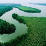 QUIZ: How Well Can You Do on This Quiz About Nigerian Rivers?