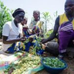 You Should Worry About Nigeria’s Hunger Crisis