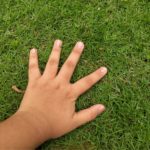 QUIZ: When Last Did You Touch Grass?