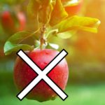 7 Foods You Can Eat When Your Salary Has Finished