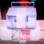 Meffy Has Launched New Naira Banknotes and We Have Questions