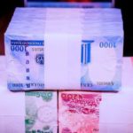 Buhari Should Have Spent the Naira Redesign Fund on These Things