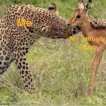 This Is How You Should Treat Your January Salary