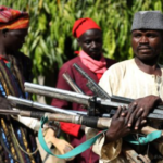 Why is Nigeria Empowering Vigilantes for State Security?