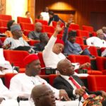 What to Expect in Nigeria’s Tenth National Assembly