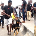 Hide Your Dogs From The Nigerian Police