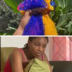 The Broke Babe’s Guide to Skincare