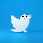 Interview with Twitter NG: “You people act without decorum.”