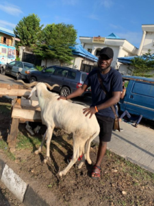 Know These 7 Things Before Buying Ram for Sallah in Nigeria