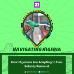 Navigating Nigeria: How Nigerians Are Adapting to Fuel Subsidy Removal