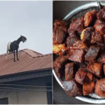 The Actual Places You Should Hide Your Sallah Meat