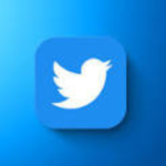 Will Nigerians Survive Without Twitter?