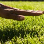 Why You Need to Go Outside and Touch Grass