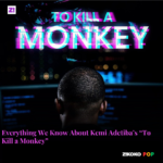 Everything We Know About Kemi Adetiba’s “To Kill a Monkey”
