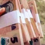 13 Brilliant Money-Saving Tips in These Tinubu Times