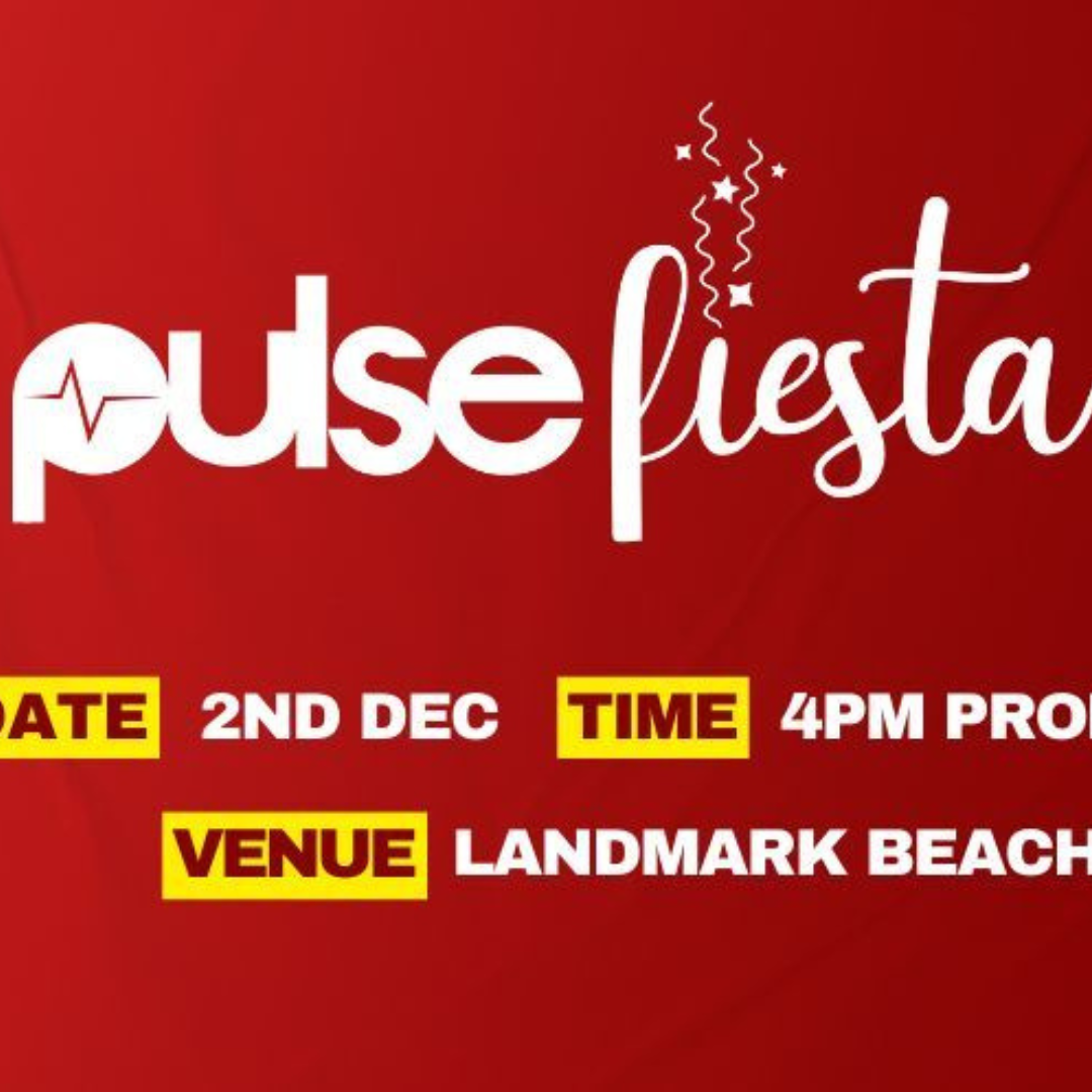 Pulse Nigeria Presents Pulse Fiesta 3.0 — The Ultimate Detty December Experience