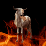 Interview With Chibuzor Ramsey: “I’m the Ram That Brings Everyone to the Yard”