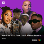New Cats We’d Have Loved Albums From In 2023