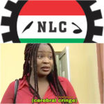 NLC Strike: These 30 Service Providers Might Press Pause Too