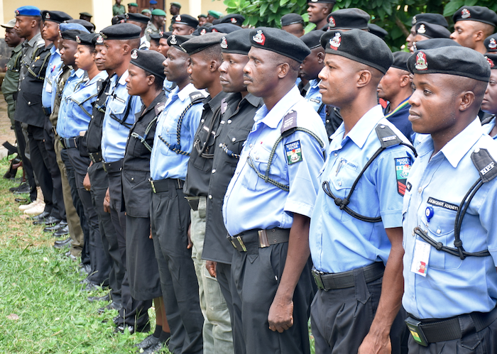 What Are the Nigerian Police Force Ranks and Their Salaries?