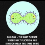 QUIZ: Can You Pass This Basic Biology Quiz?