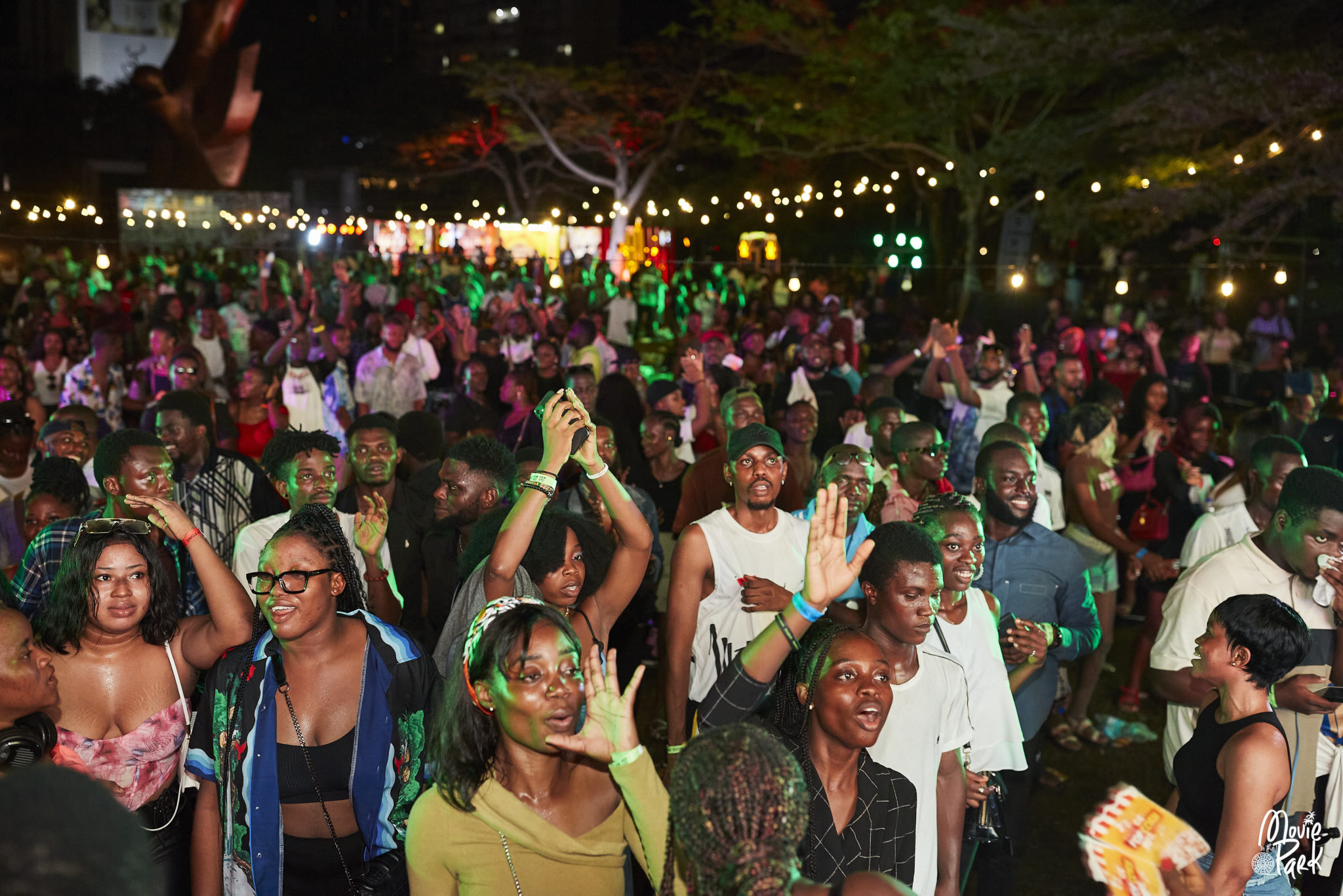 Movie in the Park Experience Revolutionizing Cinema Experiences Zikoko!