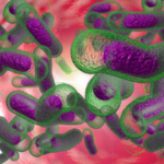 Lagos on Red Alert for Cholera Outbreak