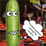 Interview With Cucumber: “It’s My Time to Shine”