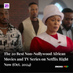 The 20 Best Non-Nollywood African Movies and TV Series on Netflix Right Now (Oct. 2024)