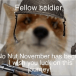 #BumpThis: No Nut November Playlist