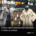 15 Pop Culture Moments that Distracted Us from 2024 Shege