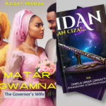 4 Romantic Hausa Novels You Should Totally Check Out in 2025